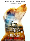 草嫩b网用户必看：如何安全高效地浏览草嫩b网内容