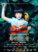 一区二区三区四区的划分标准与应用场景详解