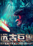 揭秘色老猫的神秘生活习性：一位资深猫友的观察笔记
